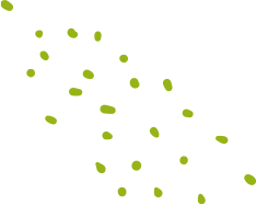 team-single_bg